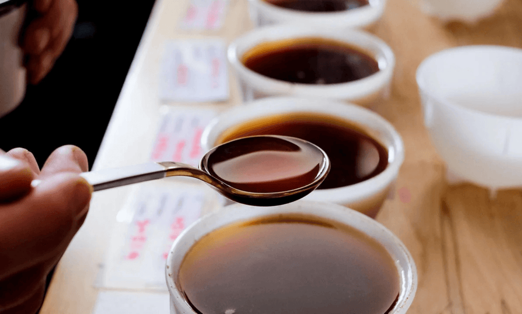 Out Of The Grey Coffee | Thoughtfully Sourced | Roasted Daily | Shipping Truly Extraordinary Coffee!