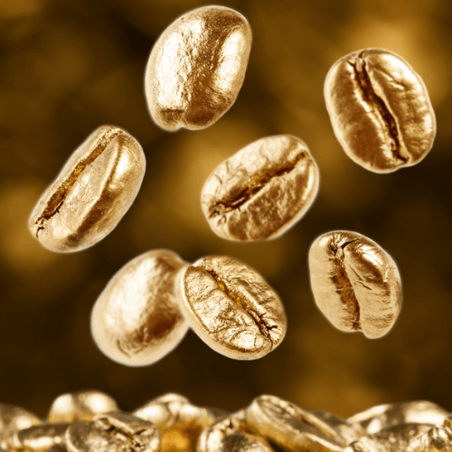 Out Of The Grey Coffee | Thoughtfully Sourced | Roasted Daily | Shipping Truly Extraordinary Coffee!