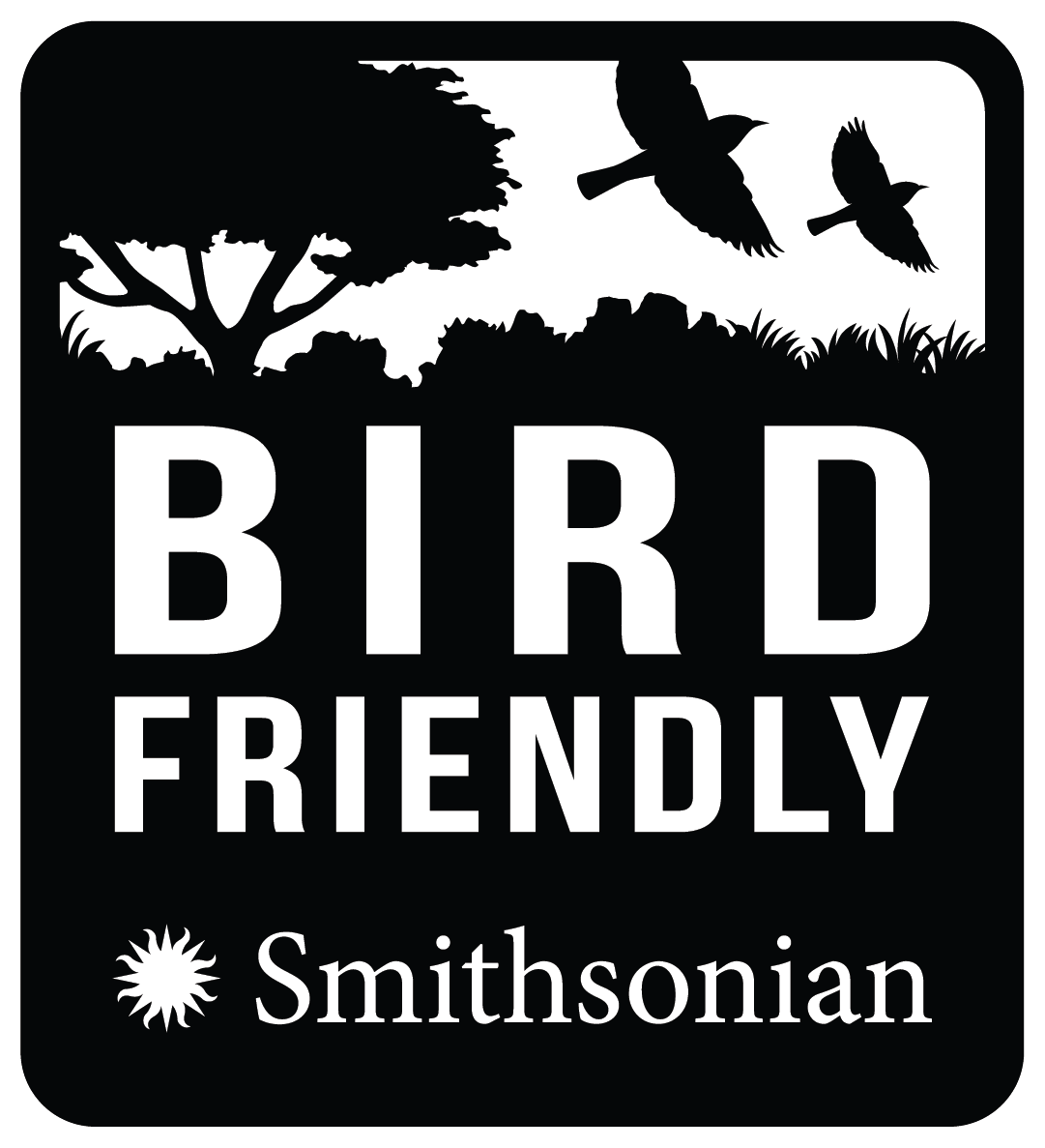 Out Of The Grey Coffee Thoughtfully Sourced | Roasted Daily | Shipping Truly Extraordinary Coffee!