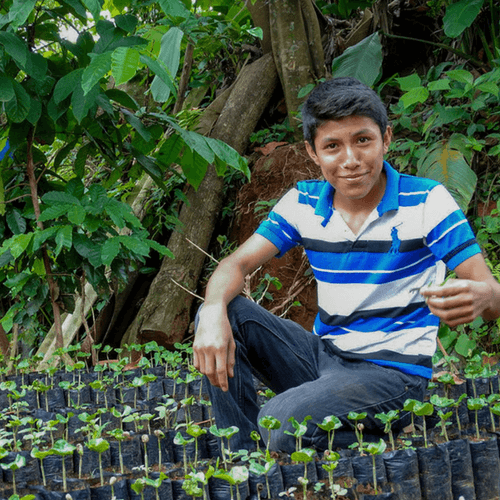 Out Of The Grey Coffee Thoughtfully Sourced | Roasted Daily | Shipping Truly Extraordinary Coffee!