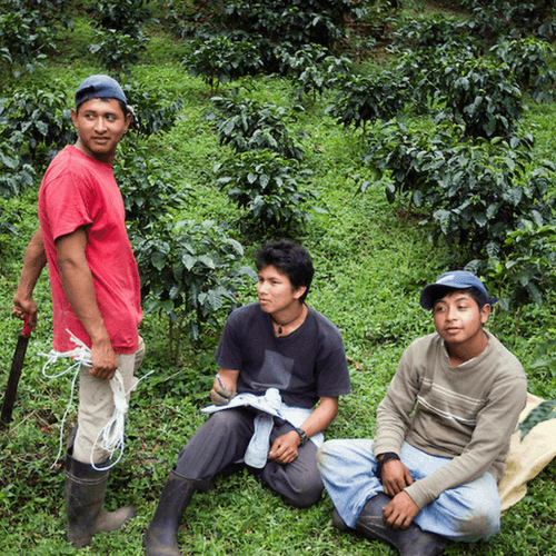 Out Of The Grey Coffee Thoughtfully Sourced | Roasted Daily | Shipping Truly Extraordinary Coffee!