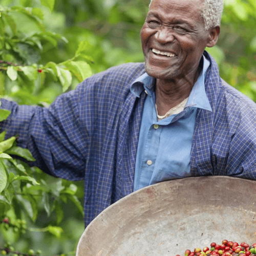 Out Of The Grey Coffee Thoughtfully Sourced | Roasted Daily | Shipping Truly Extraordinary Coffee!