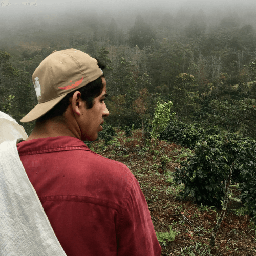 Out Of The Grey Coffee Thoughtfully Sourced | Roasted Daily | Shipping Truly Extraordinary Coffee!