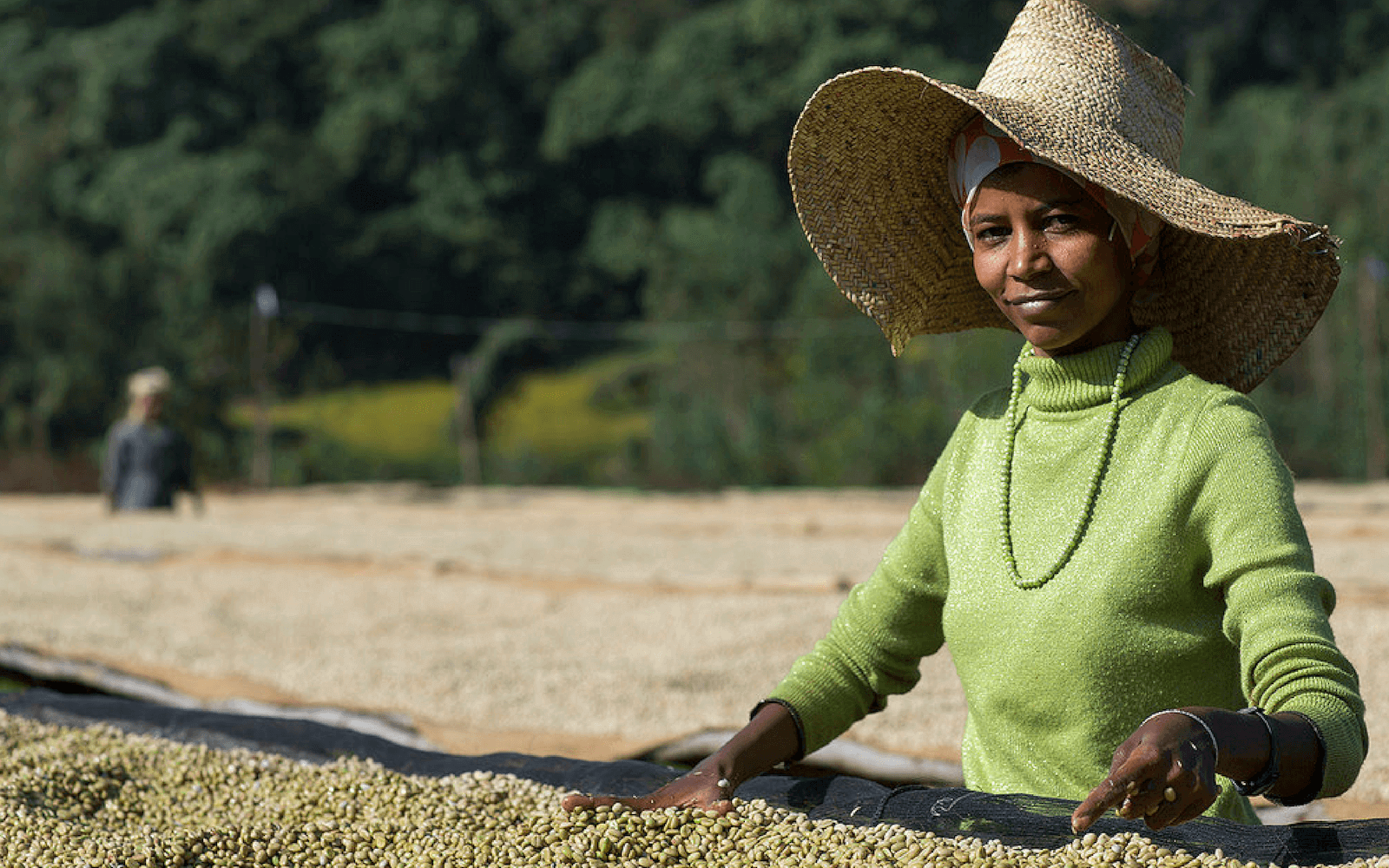 Out Of The Grey Coffee | Thoughtfully Sourced | Roasted Daily | Shipping Truly Extraordinary Coffee!