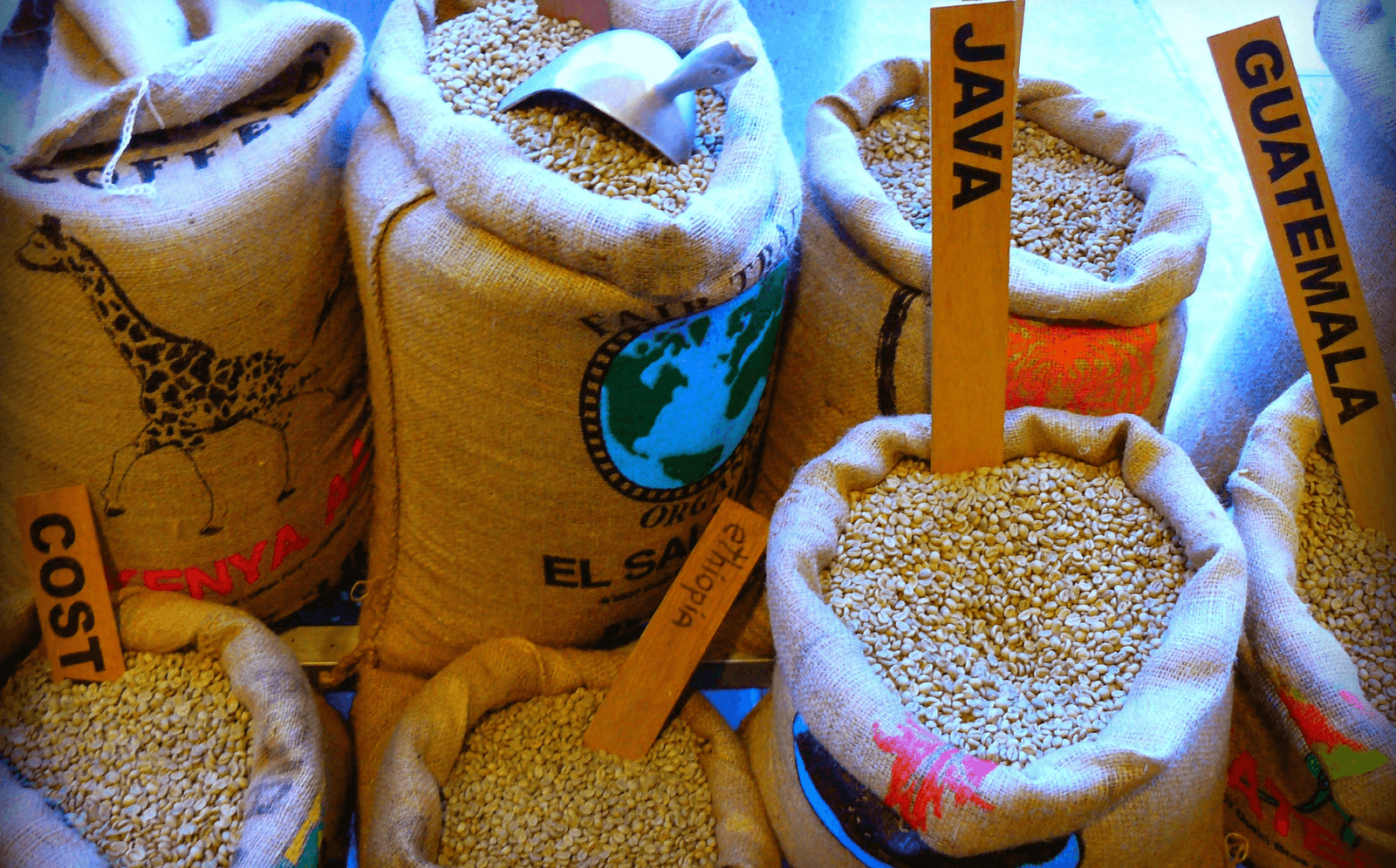 Out Of The Grey Coffee | Thoughtfully Sourced | Roasted Daily | Shipping Truly Extraordinary Coffee!