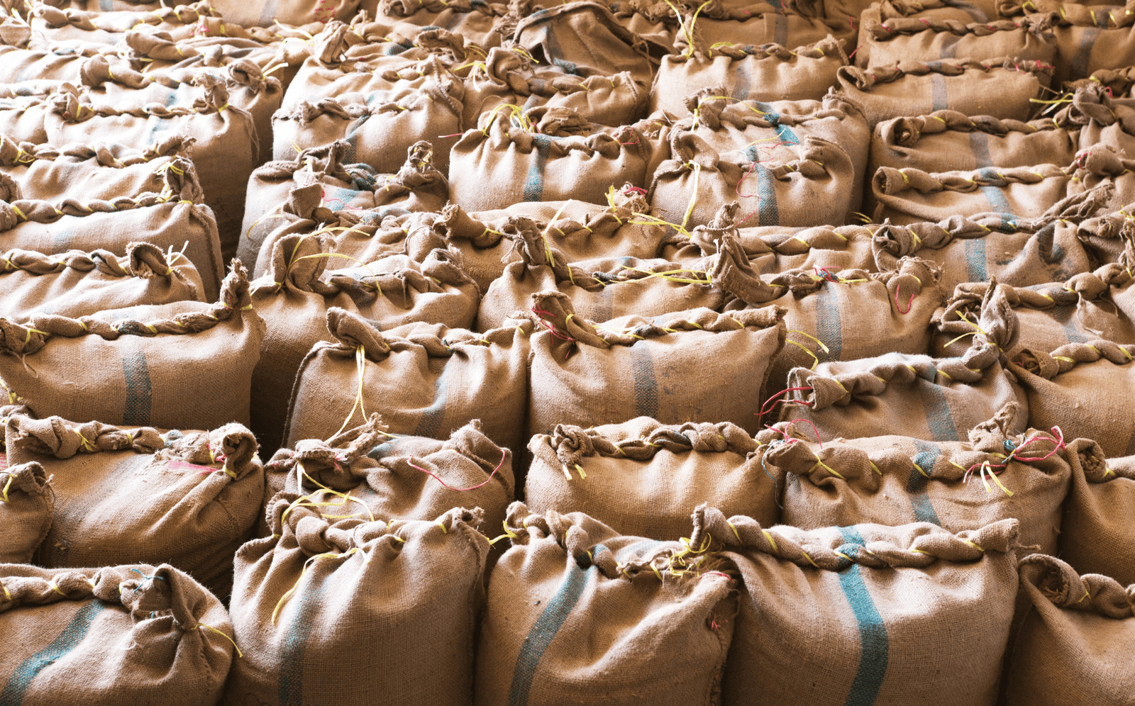 Out Of The Grey Coffee | Thoughtfully Sourced | Roasted Daily | Shipping Truly Extraordinary Coffee!
