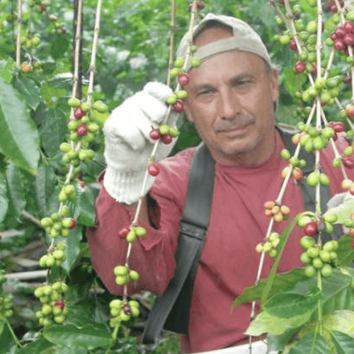 Out Of The Grey Coffee | Thoughtfully Sourced | Roasted Daily | Shipping Truly Extraordinary Coffee!