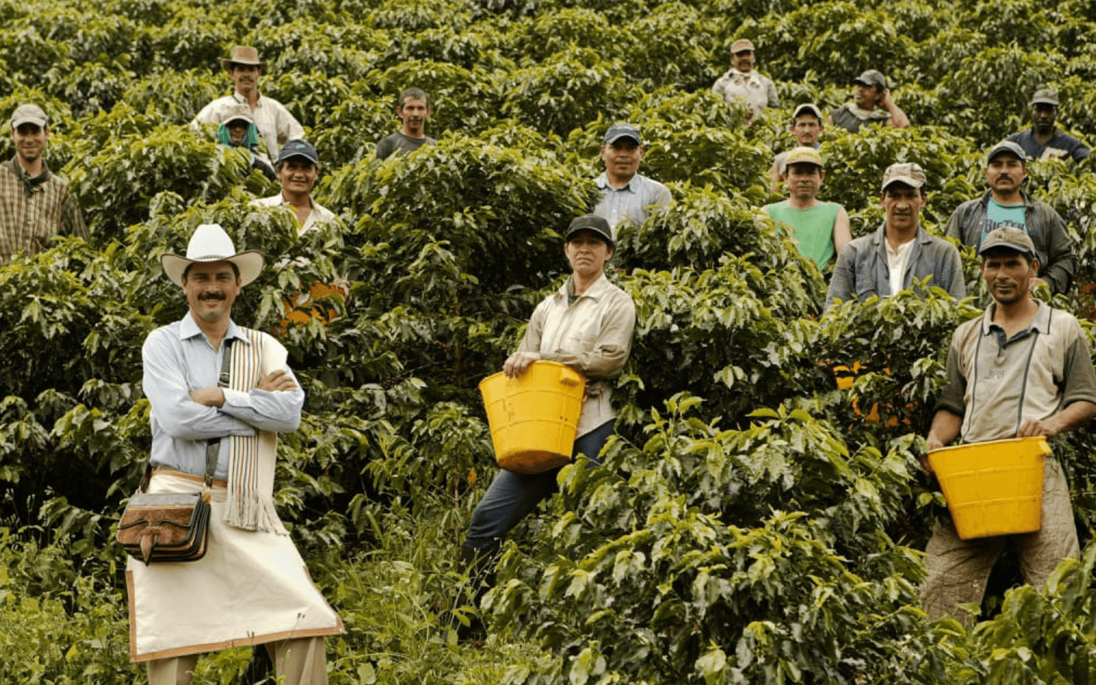 ootgCoffee - Colombian Medellin