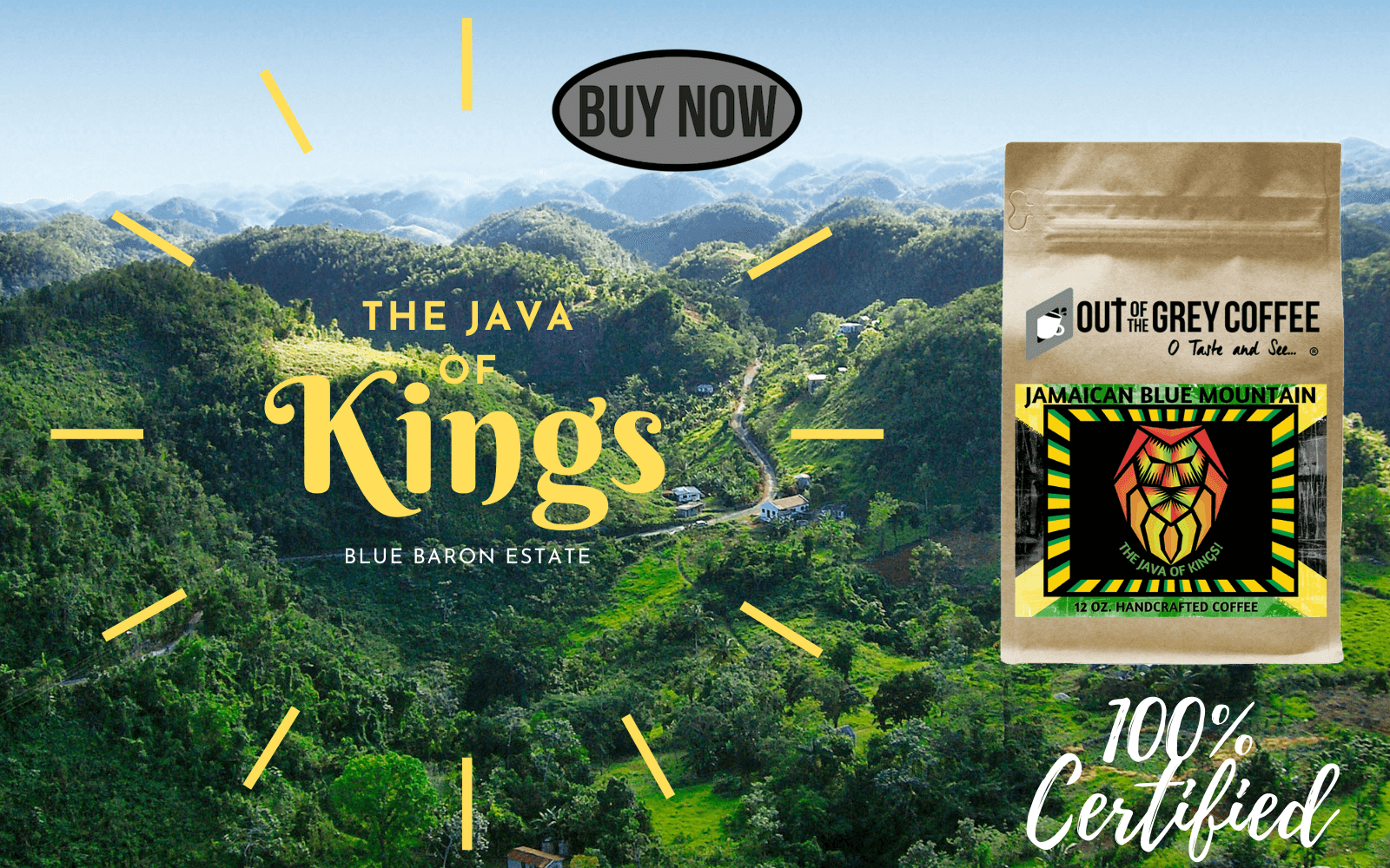 Kings Coffee - The King of Coffee Arrives