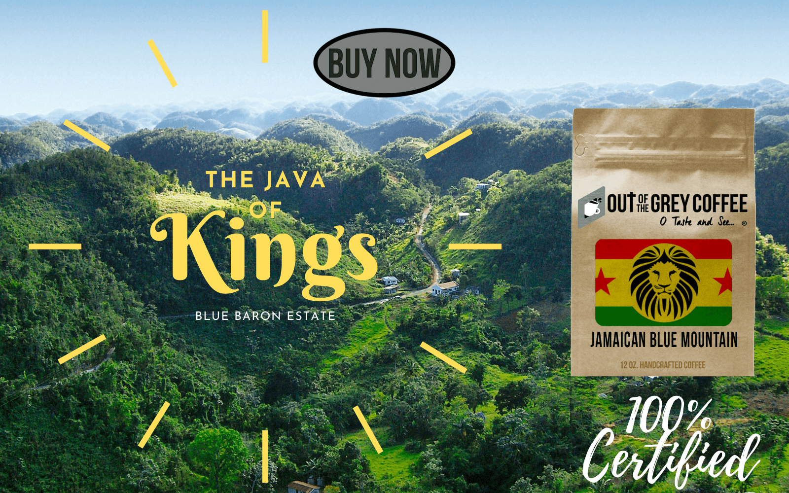 Jamaican Blue Mountain the Java of Kings offered by Out Of The Grey Coffee