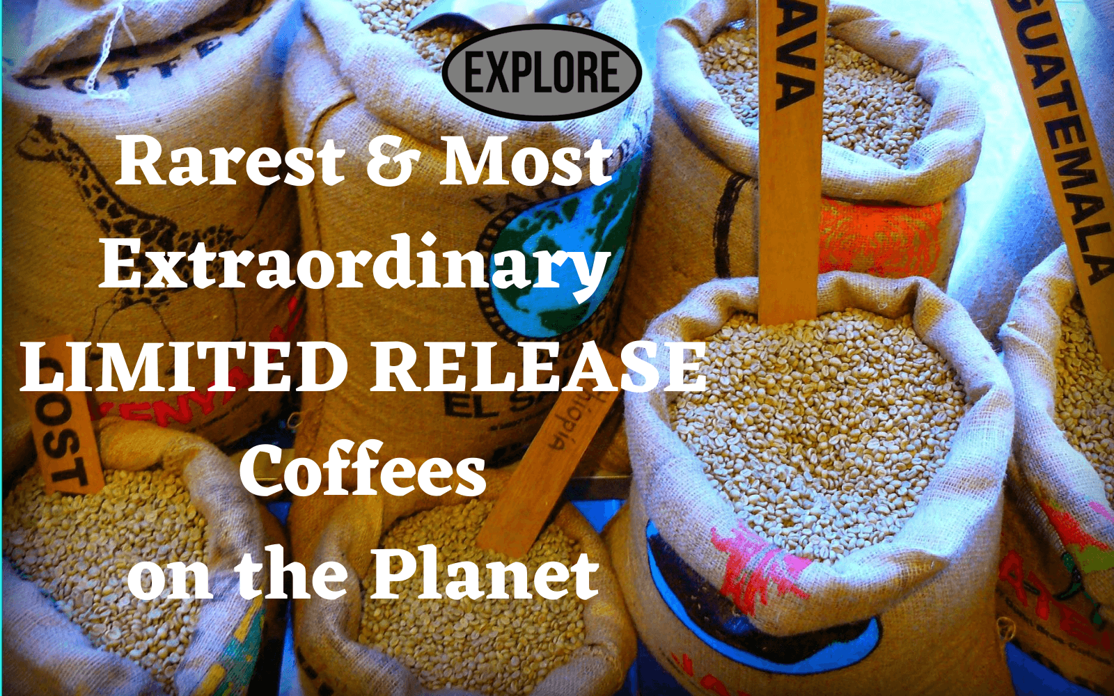 Limited release coffees from the rarest and most extraordinary coffees offered by Out Of The Grey Coffee