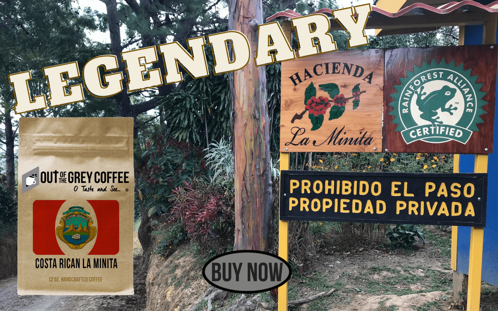 Costa rican la minita snb rainforest alliance certified coffee offered by Out Of The Grey Coffee