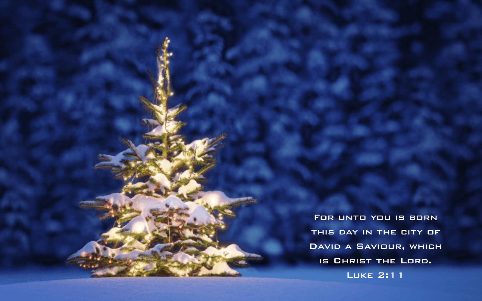 Out Of The Grey Coffee | Thoughtfully Sourced | Roasted Daily | Shipping Truly Extraordinary Coffee!