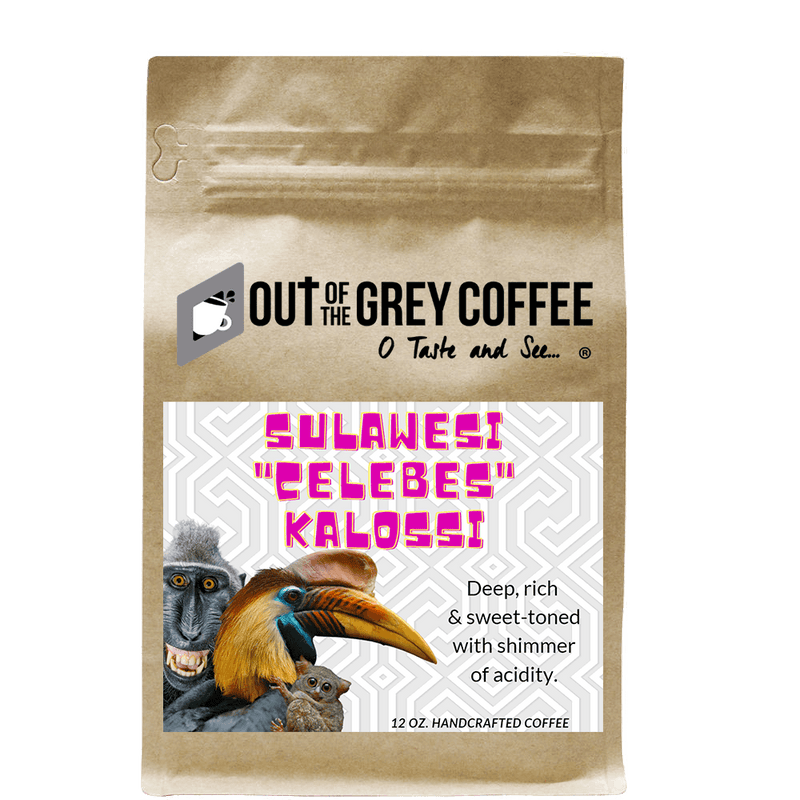 Out Of The Grey Coffee Thoughtfully Sourced | Roasted Daily | Shipping Truly Extraordinary Coffee!