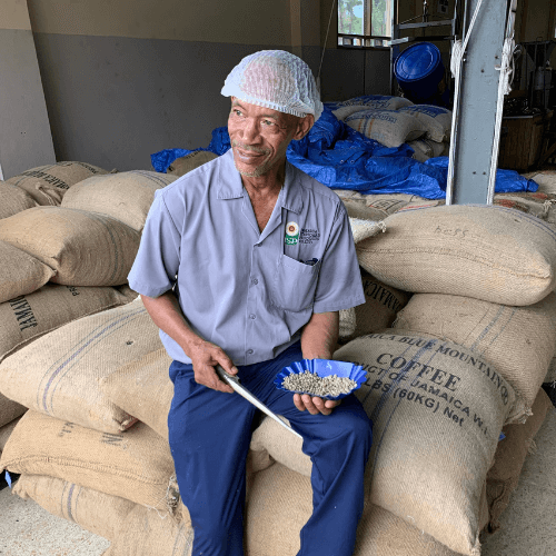 Out Of The Grey Coffee Thoughtfully Sourced | Roasted Daily | Shipping Truly Extraordinary Coffee!