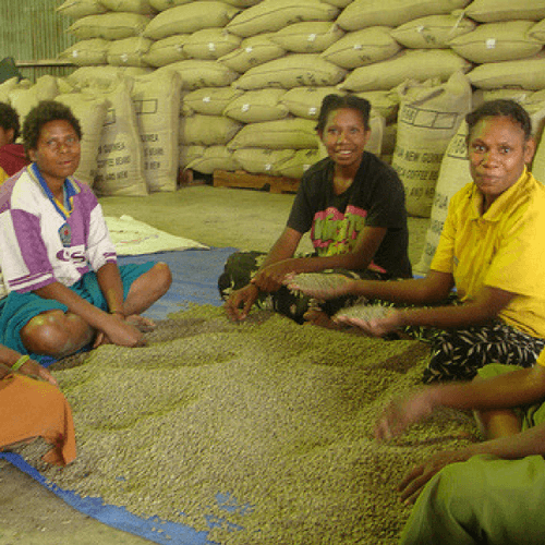 Out Of The Grey Coffee Thoughtfully Sourced | Roasted Daily | Shipping Truly Extraordinary Coffee!