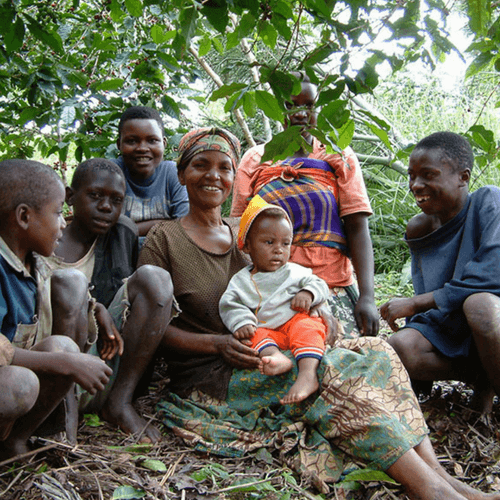 Out Of The Grey Coffee Thoughtfully Sourced | Roasted Daily | Shipping Truly Extraordinary Coffee!