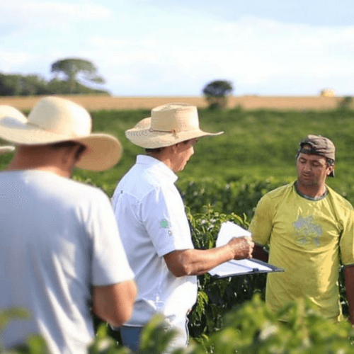 Out Of The Grey Coffee Thoughtfully Sourced | Roasted Daily | Shipping Truly Extraordinary Coffee!