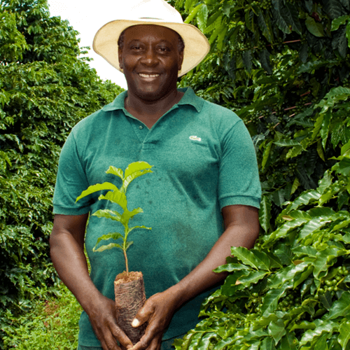 Out Of The Grey Coffee Thoughtfully Sourced | Roasted Daily | Shipping Truly Extraordinary Coffee!