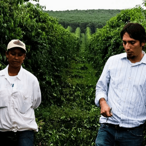 Out Of The Grey Coffee Thoughtfully Sourced | Roasted Daily | Shipping Truly Extraordinary Coffee!