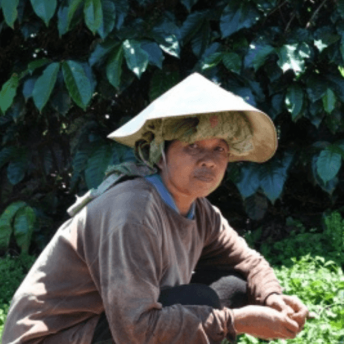 Out Of The Grey Coffee Thoughtfully Sourced | Roasted Daily | Shipping Truly Extraordinary Coffee!