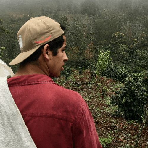 Out Of The Grey Coffee Thoughtfully Sourced | Roasted Daily | Shipping Truly Extraordinary Coffee!