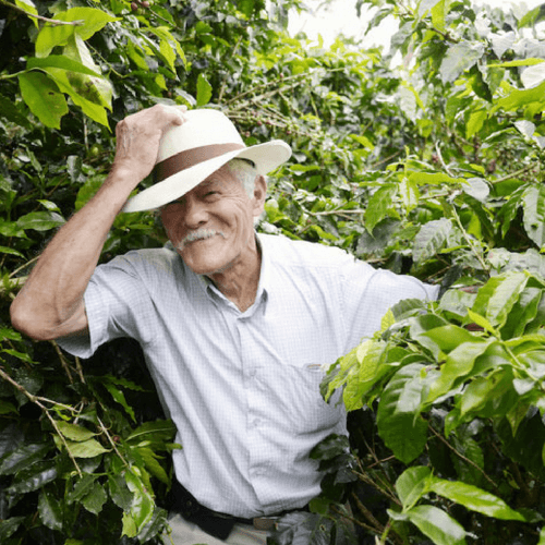 Out Of The Grey Coffee Thoughtfully Sourced | Roasted Daily | Shipping Truly Extraordinary Coffee!