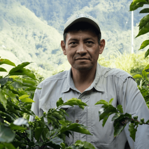 Out Of The Grey Coffee Thoughtfully Sourced | Roasted Daily | Shipping Truly Extraordinary Coffee!