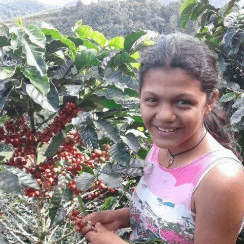 Out Of The Grey Coffee Thoughtfully Sourced | Roasted Daily | Shipping Truly Extraordinary Coffee!