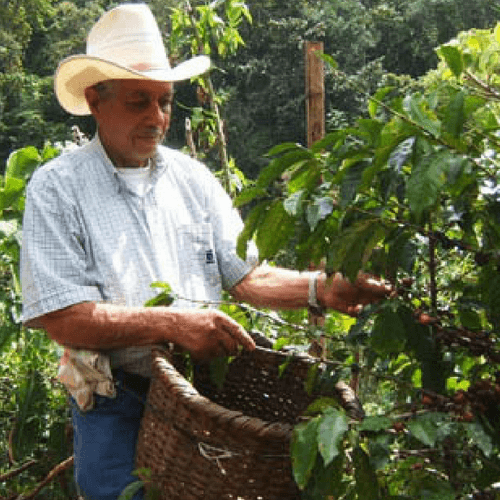 Out Of The Grey Coffee Thoughtfully Sourced | Roasted Daily | Shipping Truly Extraordinary Coffee!