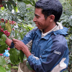 Extraordinary coffee and tea handcrafted by Out Of The Grey Coffee delivered to your door.