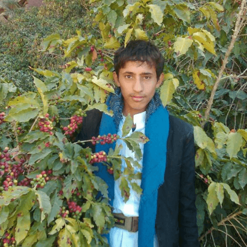 Out Of The Grey Coffee Thoughtfully Sourced | Roasted Daily | Shipping Truly Extraordinary Coffee!