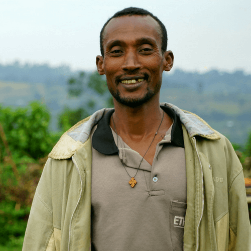 Out Of The Grey Coffee Thoughtfully Sourced | Roasted Daily | Shipping Truly Extraordinary Coffee!