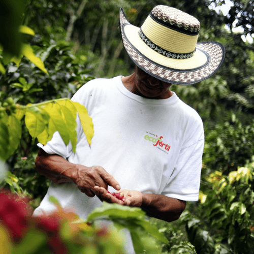 Out Of The Grey Coffee Thoughtfully Sourced | Roasted Daily | Shipping Truly Extraordinary Coffee!