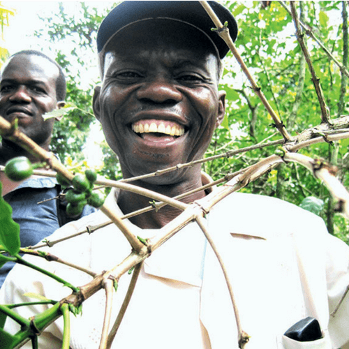 Out Of The Grey Coffee Thoughtfully Sourced | Roasted Daily | Shipping Truly Extraordinary Coffee!