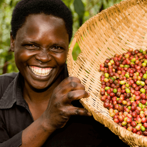 Out Of The Grey Coffee Thoughtfully Sourced | Roasted Daily | Shipping Truly Extraordinary Coffee!