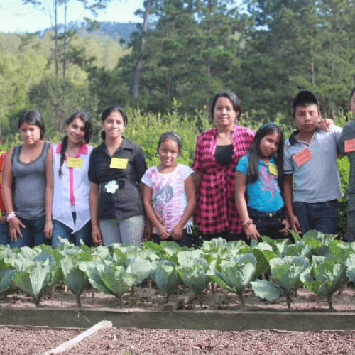 Out Of The Grey Coffee Thoughtfully Sourced | Roasted Daily | Shipping Truly Extraordinary Coffee!