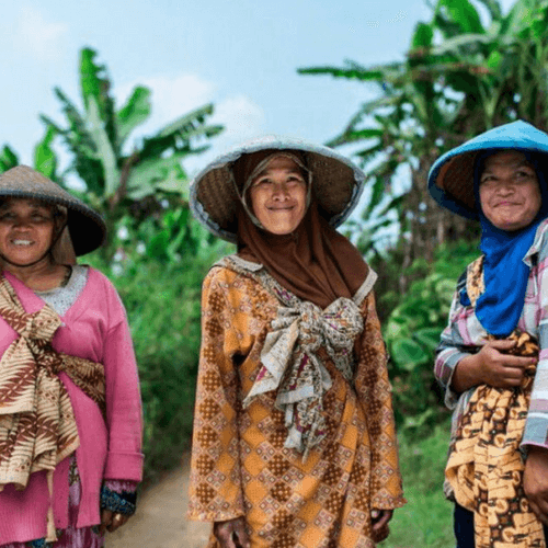 Out Of The Grey Coffee Thoughtfully Sourced | Roasted Daily | Shipping Truly Extraordinary Coffee!