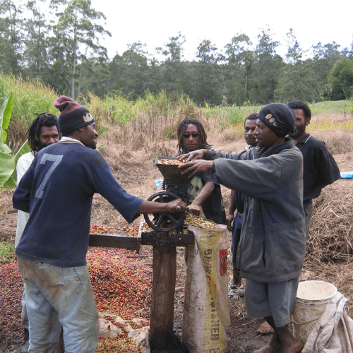 Out Of The Grey Coffee Thoughtfully Sourced | Roasted Daily | Shipping Truly Extraordinary Coffee!