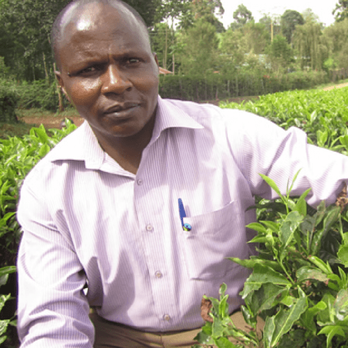 Out Of The Grey Coffee Thoughtfully Sourced | Roasted Daily | Shipping Truly Extraordinary Coffee!