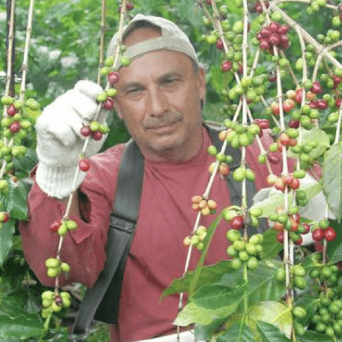 Out Of The Grey Coffee Thoughtfully Sourced | Roasted Daily | Shipping Truly Extraordinary Coffee!