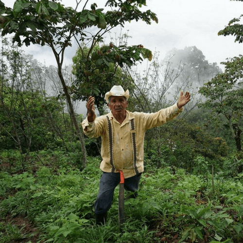 Out Of The Grey Coffee Thoughtfully Sourced | Roasted Daily | Shipping Truly Extraordinary Coffee!