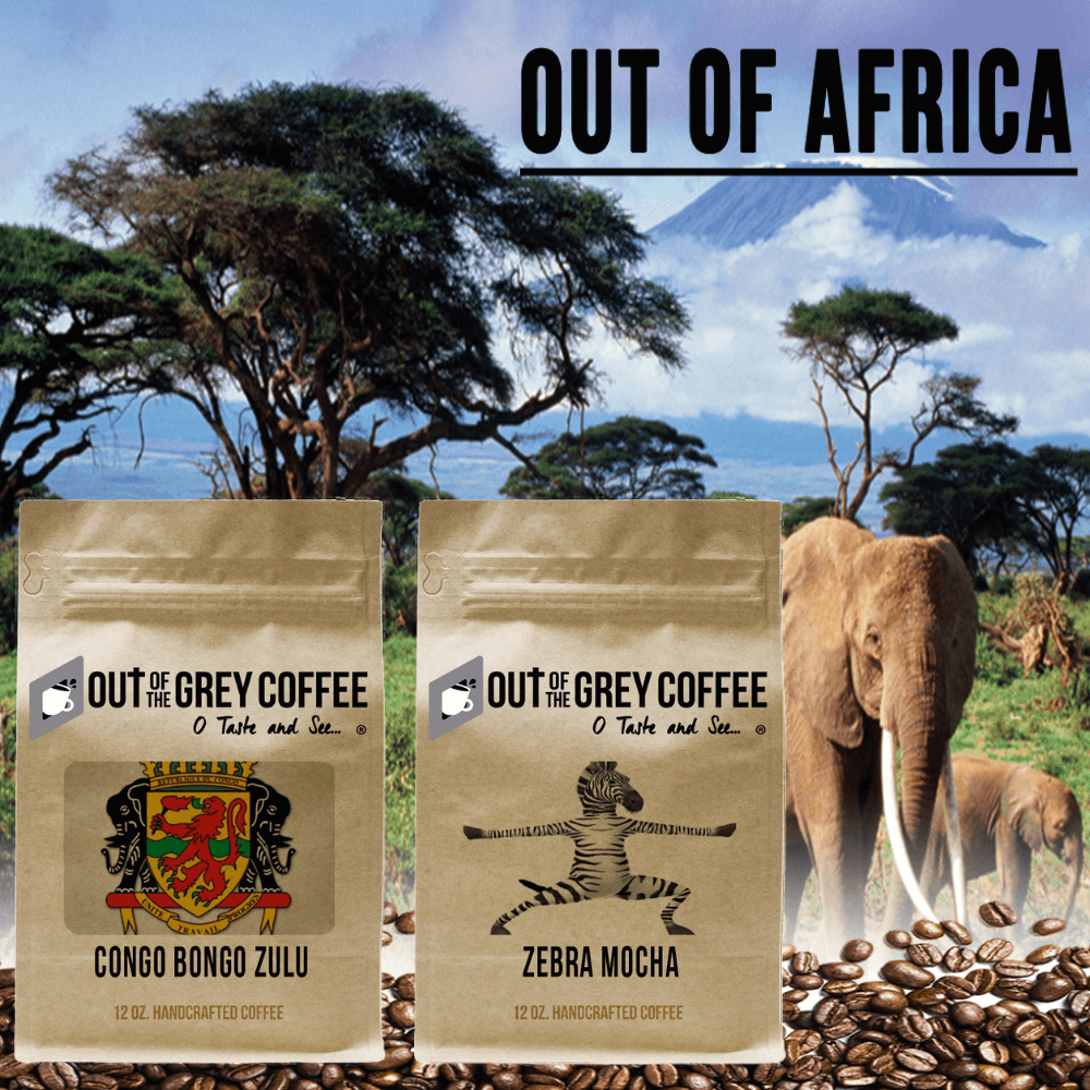 Out Of The Grey Coffee Thoughtfully Sourced | Roasted Daily | Shipping Truly Extraordinary Coffee!