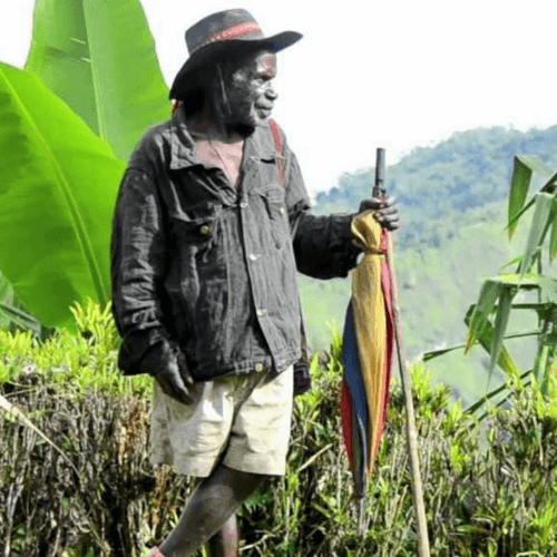 Out Of The Grey Coffee Thoughtfully Sourced | Roasted Daily | Shipping Truly Extraordinary Coffee!