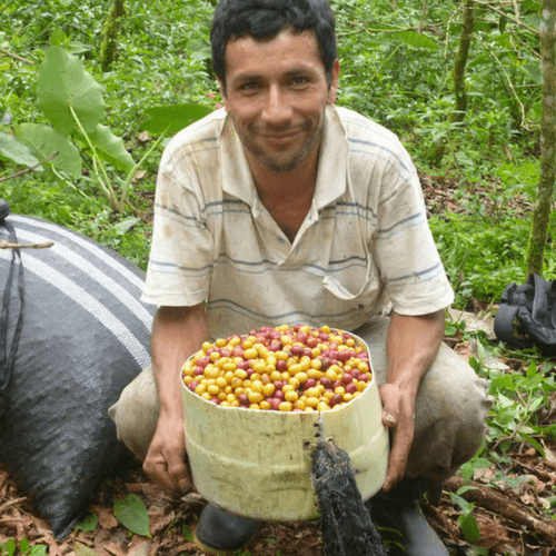 Out Of The Grey Coffee Thoughtfully Sourced | Roasted Daily | Shipping Truly Extraordinary Coffee!