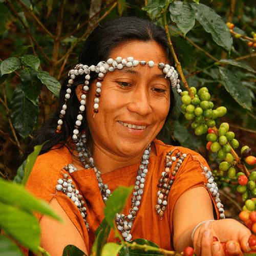 Out Of The Grey Coffee Thoughtfully Sourced | Roasted Daily | Shipping Truly Extraordinary Coffee!