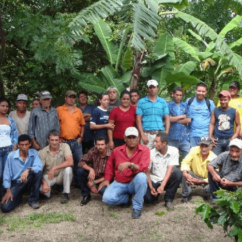 Out Of The Grey Coffee Thoughtfully Sourced | Roasted Daily | Shipping Truly Extraordinary Coffee!