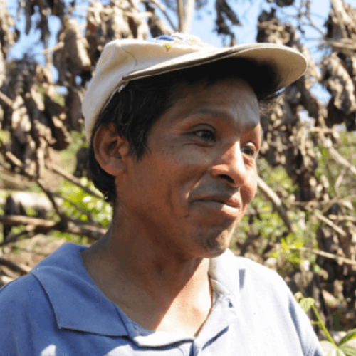 Out Of The Grey Coffee Thoughtfully Sourced | Roasted Daily | Shipping Truly Extraordinary Coffee!