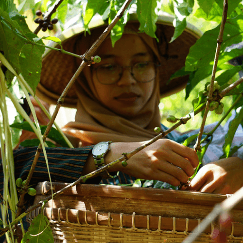 Out Of The Grey Coffee Thoughtfully Sourced | Roasted Daily | Shipping Truly Extraordinary Coffee!