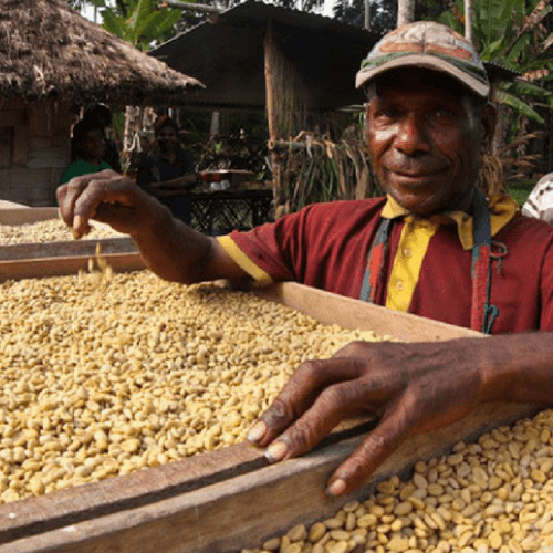Out Of The Grey Coffee Thoughtfully Sourced | Roasted Daily | Shipping Truly Extraordinary Coffee!